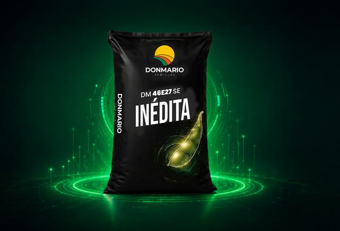Bolsa de soja DONMARIO DM46E27SE INÉDITA