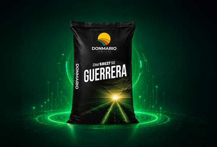 Bolsa de soja DONMARIO DM58E27SE GUERRERA